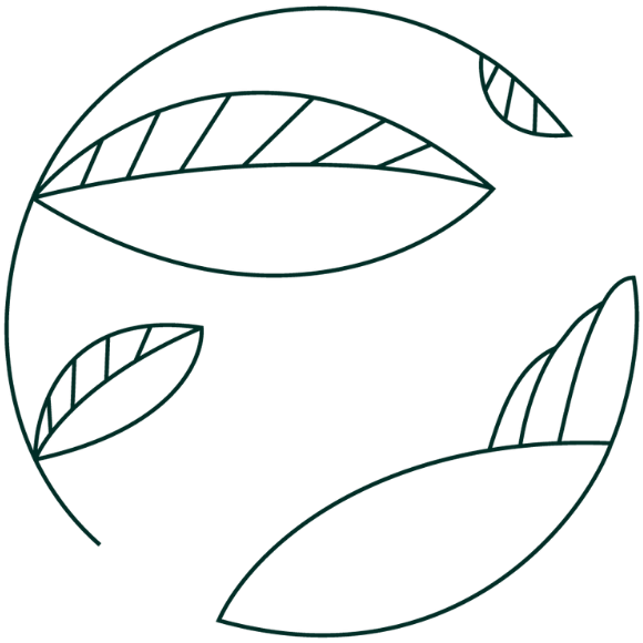 Biom